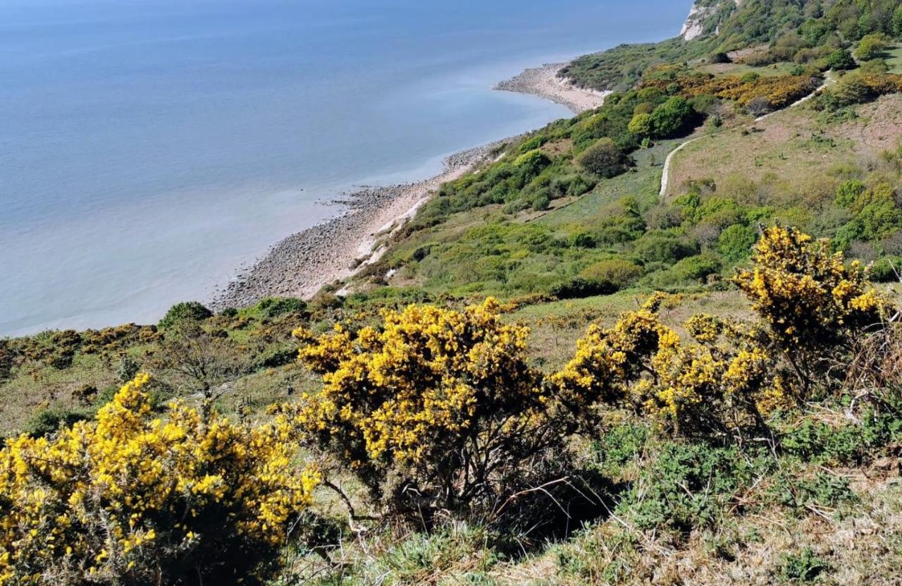 Elegant Spacious Seaside Apartment St Leonards-on-Sea エクステリア 写真